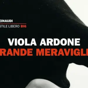 Grande meraviglia recensione. Il nuovo libro di Viola Ardone