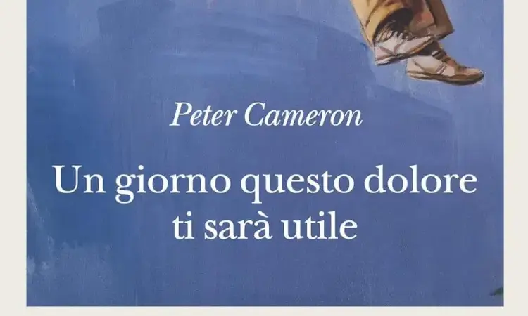 Un giorno questo dolore ti sarà utile Recensione del libro di di Peter Cameron